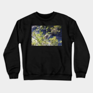 Spider in a Web Crewneck Sweatshirt